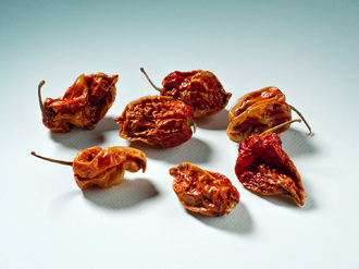 Peperoncino Habanero Red Savina Intero 10g - PROMO